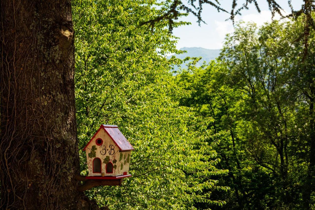 Bed and Breakfast La Demeure Aux Pins Лурд Екстер'єр фото